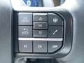 Ford F 150 Raptor 3.5L V6 EcoBoost® SuperCrew® N1 Grau - thumbnail 20