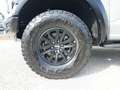 Ford F 150 Raptor 3.5L V6 EcoBoost® SuperCrew® N1 Grau - thumbnail 10