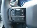 Ford F 150 Raptor 3.5L V6 EcoBoost® SuperCrew® N1 Grau - thumbnail 18