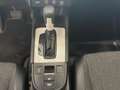Honda Jazz Jazz 1.5 Hev eCVT Elegance - thumbnail 13