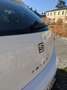 SEAT Ibiza Ibiza 2016 1.0 95cv Manuale Benzina 65.000km 5p Bianco - thumbnail 11