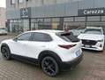 Mazda CX-30 CX-30 2.5 m-hybrid Advantage 2wd 140cv 6mt Bianco - thumbnail 3