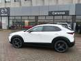 Mazda CX-30 CX-30 2.5 m-hybrid Advantage 2wd 140cv 6mt Bianco - thumbnail 16