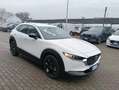 Mazda CX-30 CX-30 2.5 m-hybrid Advantage 2wd 140cv 6mt Bianco - thumbnail 15