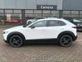 Mazda CX-30 CX-30 2.5 m-hybrid Advantage 2wd 140cv 6mt Bianco - thumbnail 1