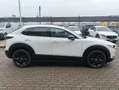 Mazda CX-30 CX-30 2.5 m-hybrid Advantage 2wd 140cv 6mt Bianco - thumbnail 10