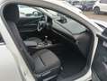 Mazda CX-30 CX-30 2.5 m-hybrid Advantage 2wd 140cv 6mt Bianco - thumbnail 17