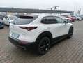 Mazda CX-30 CX-30 2.5 m-hybrid Advantage 2wd 140cv 6mt Bianco - thumbnail 23