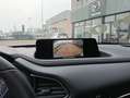 Mazda CX-30 CX-30 2.5 m-hybrid Advantage 2wd 140cv 6mt Bianco - thumbnail 11