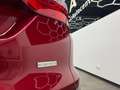 Ford Focus 1.6 EcoBoost KAT Titanium, AHK, 1. Hand Rouge - thumbnail 20