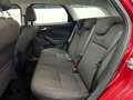 Ford Focus 1.6 EcoBoost KAT Titanium, AHK, 1. Hand Rouge - thumbnail 16