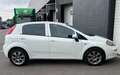 Fiat Punto Evo 0.9 TwinAir Sempre CLIMA/CRUISE/LMV/5D/PDC/NAVI Blanc - thumbnail 7