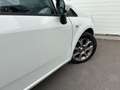 Fiat Punto Evo 0.9 TwinAir Sempre CLIMA/CRUISE/LMV/5D/PDC/NAVI Blanc - thumbnail 10