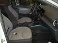 SEAT Arona 1.0 X-PERIENCE DSG 110 CV GUIDABILE NEOPATENTATI Bianco - thumbnail 5