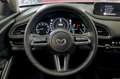 Mazda CX-30 eSKYACTIVG 2.0 90 kW 2WD AT Zenith Rot - thumbnail 23