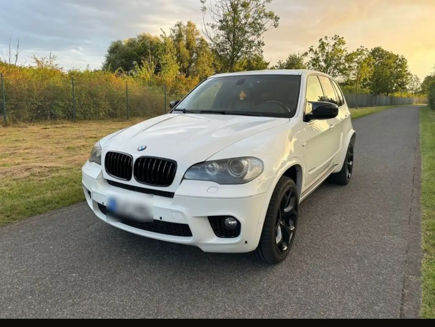 BMW X5 X5 xDrive35d meine numa 015781340222 Beige - 2