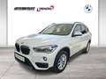 BMW X1 xDrive18d (F48) Advantage LED RFK Navi PDC Weiß - thumbnail 1