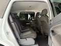 Ford S-Max S-MAX Business Edition *TEMP*NAVI*KLIMA*PDC*MFL* Weiß - thumbnail 12