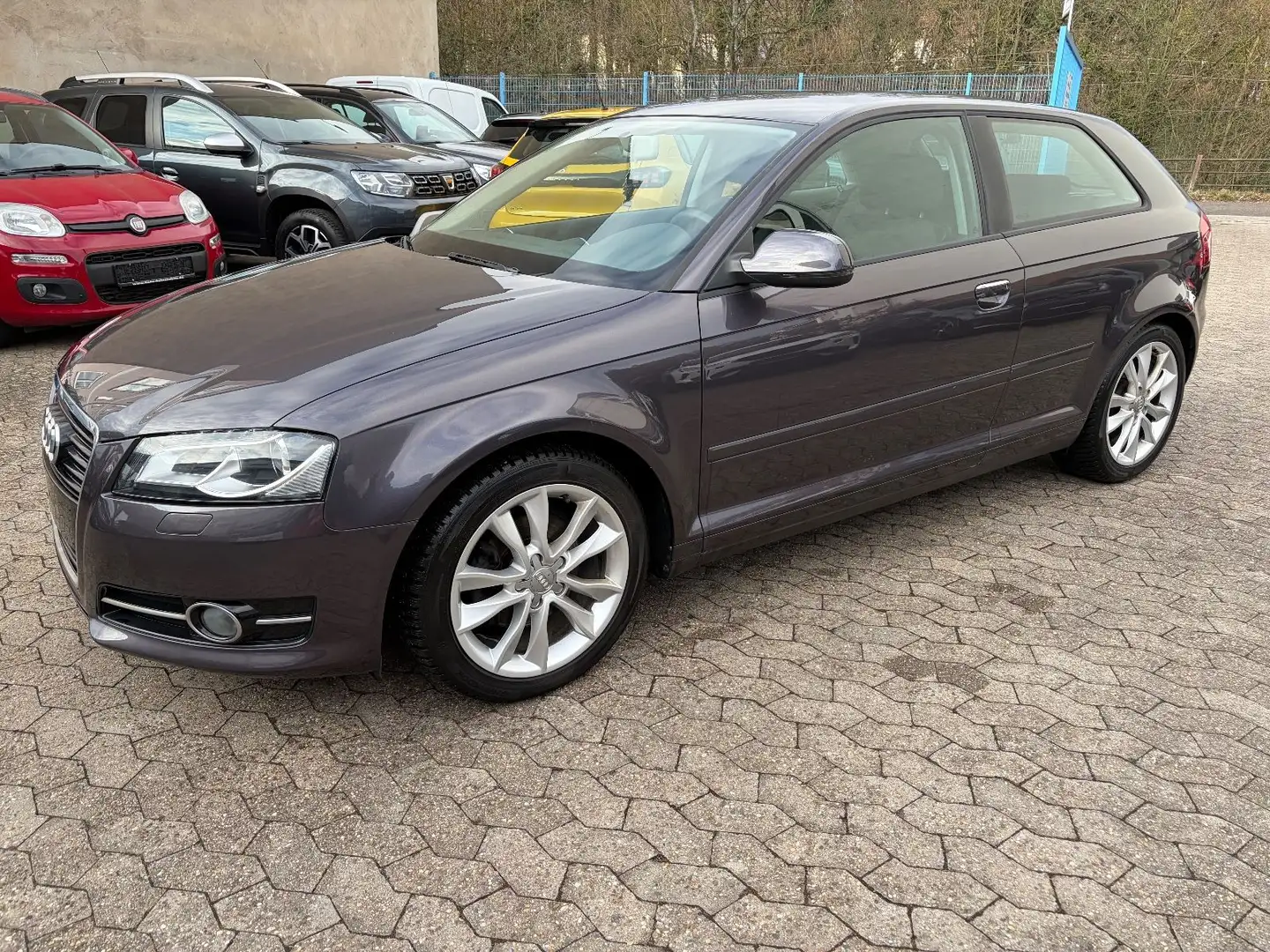 Audi A3 1.4 TFSI Ambition  Xenon/Sitzheizung/PDC Grau - 1