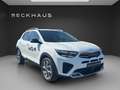 Kia Stonic 1.0T 48V DCT GT-LINE TECHNIK GLASDACH Klima Navi Weiß - thumbnail 8