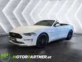 Ford Mustang 5,0 V8 GT Cabrio Aut. Weiß - thumbnail 1