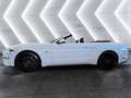 Ford Mustang 5,0 V8 GT Cabrio Aut. Wit - thumbnail 2
