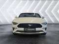 Ford Mustang 5,0 V8 GT Cabrio Aut. Wit - thumbnail 8