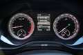 Skoda Karoq 1.6 TDI DSG Ambition NAVI ANHÄNGERKUPPLUNG Grau - thumbnail 20
