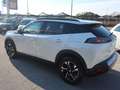 Peugeot 2008 2008 II 2020 1.5 bluehdi Allure Pack s&s Bianco - thumbnail 12