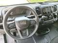 Fiat Ducato Ducato Series 2 Stock My25 Furgone Lastrato 33q M Bianco - thumbnail 8