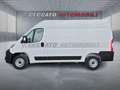 Fiat Ducato Ducato Series 2 Stock My25 Furgone Lastrato 33q M Bianco - thumbnail 2