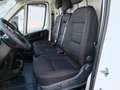 Fiat Ducato Ducato Series 2 Stock My25 Furgone Lastrato 33q M Bianco - thumbnail 13