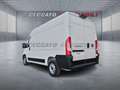 Fiat Ducato Ducato Series 2 Stock My25 Furgone Lastrato 33q M Bianco - thumbnail 3