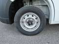 Fiat Ducato Ducato Series 2 Stock My25 Furgone Lastrato 33q M Bianco - thumbnail 6