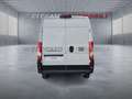 Fiat Ducato Ducato Series 2 Stock My25 Furgone Lastrato 33q M Bianco - thumbnail 5