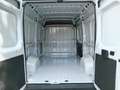 Fiat Ducato Ducato Series 2 Stock My25 Furgone Lastrato 33q M Bianco - thumbnail 15