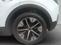 Ford Explorer Elektromotor mit Extended Range RWD 77kWh Alb - thumbnail 29