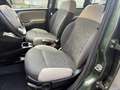 Fiat Panda Panda 1.3 mjt 16v 4x4 75cv E5+ Verde - thumbnail 6