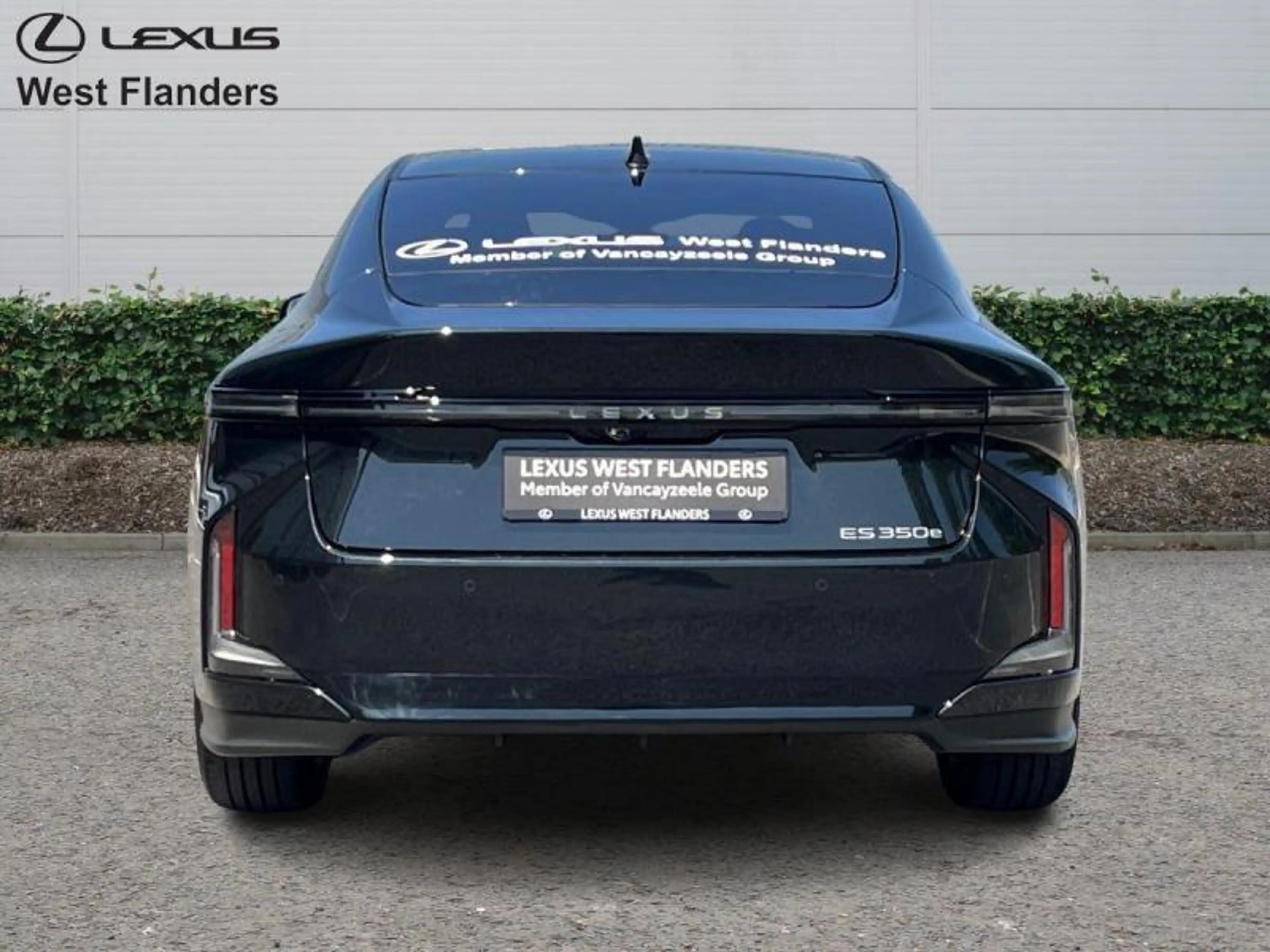 Lexus ES 350 Executive Line + Open Roof — photo 6