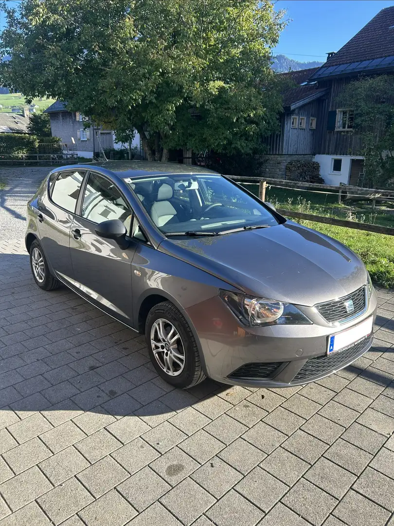 SEAT Ibiza Reference Grau - 1