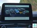 Ford Kuga 1.5 EcoBoost ST-Line X FWD 150 Azul - thumbnail 42