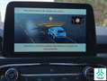 Ford Kuga 1.5 EcoBoost ST-Line X FWD 150 Azul - thumbnail 39