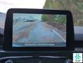 Ford Kuga 1.5 EcoBoost ST-Line X FWD 150 Azul - thumbnail 29