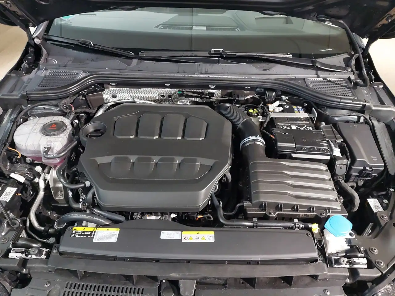 Volkswagen Golf VIII GTI Edition 50 2.0 TSI PANO+NAVI+SITZHZ 11