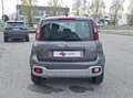 Fiat Panda Panda III 2021 4x4 Cross 0.9 t.air t. Cross 4x4 s Grigio - thumbnail 6