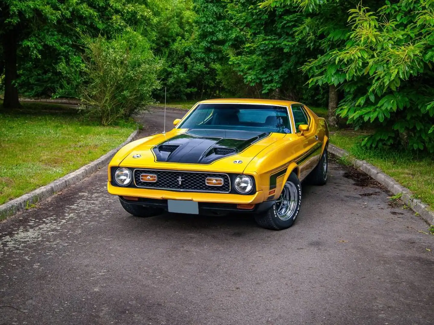 Ford Mustang MACH 1 Jaune - 2