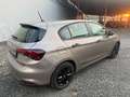 Fiat Tipo Tipo 5 porte II 2016 5p 1.4 Street 95cv my20 GPL Beige - thumbnail 20