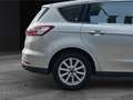 Ford S-Max Titanium 2.0 EcoBoost Navi, Rückfahrk,Leder Silber - thumbnail 21