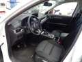 Mazda CX-5 Ad'vantage 360°Cam.Navi.LED,HUD.abn.AHK Blanc - thumbnail 5