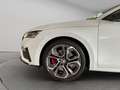 Skoda Octavia Combi 2.0 TSI OPF DSG RS Plus AHK+KAMERA+ACC+MATR Weiß - thumbnail 5
